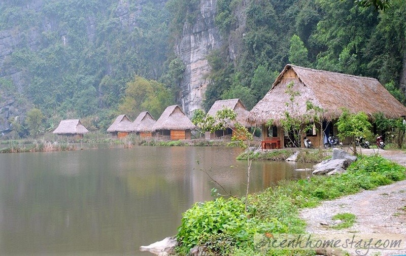 Top 50+Homestay Ninh Bình cảnh đẹp như tranh khiến bao người mê mẩn