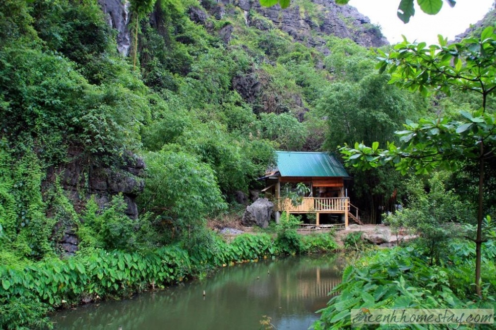 Top 50+Homestay Ninh Bình phong cảnh đẹp như tranh khiến bao người mê mẩn