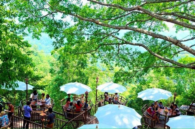 Cuối tuần “lơ lửng trên không” uống cafe “trên cây” gây sốt giới trẻ Sài Gòn