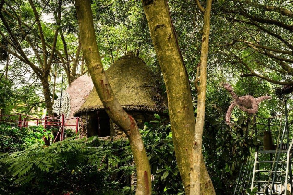 Bỏ “nệm ấm chăn êm” lên cây ngủ độc đáo ngay tại Hà Nội