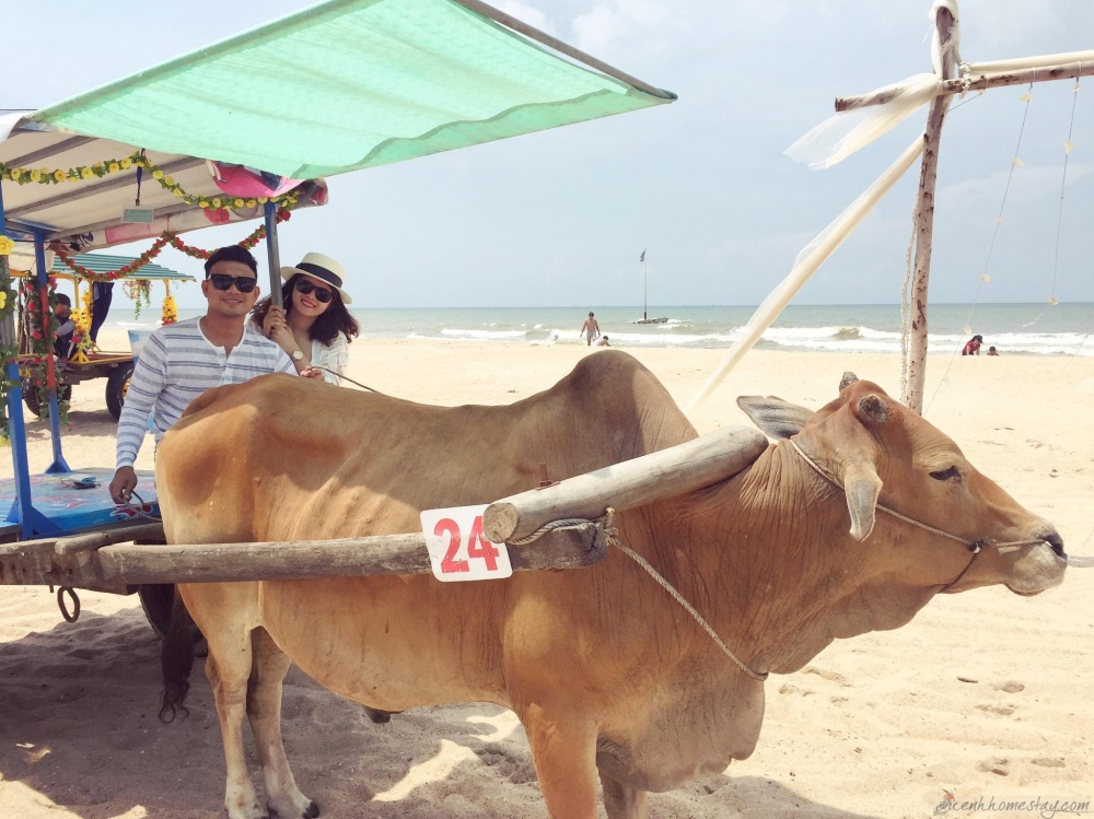 Homestay Coco Beachcamp Bình Thuận
