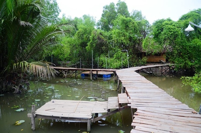 Homestay nổi trên mặt nước ở ngoại ô Sài Gòn
