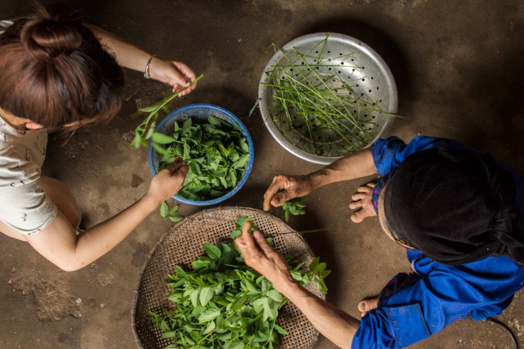 Khách Tây yêu làng nghèo hẻo lánh của Việt Nam