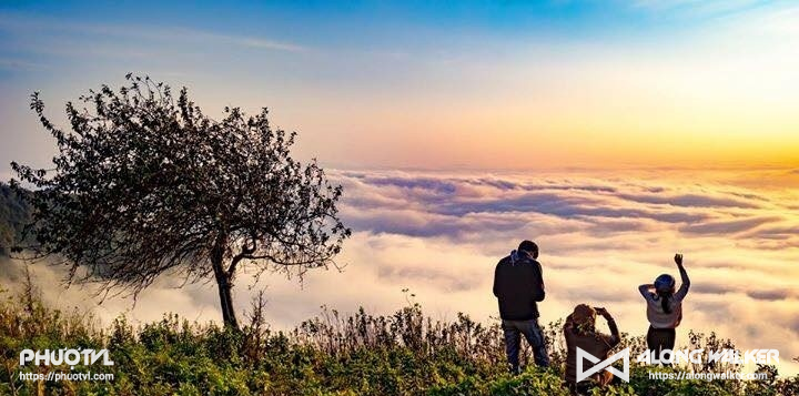 Top homestay Tà Xùa giá rẻ chỉ 50k có view săn mây đẹp mơ màng
