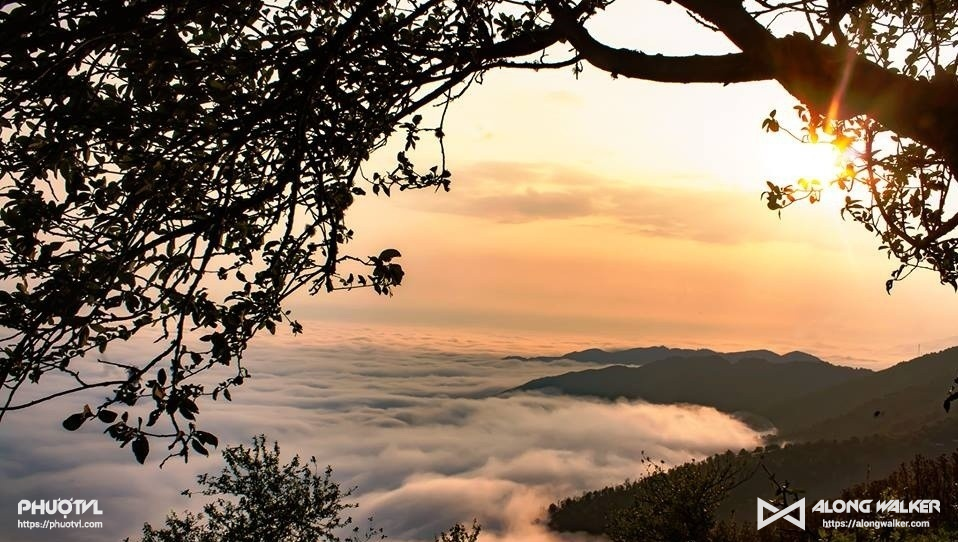 Top homestay Tà Xùa giá rẻ chỉ 50k có view săn mây đẹp mơ màng