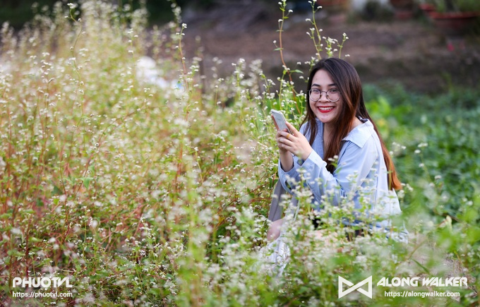Vườn hoa tam giác mạch ở Sài Gòn cho chị em chụp ảnh sống ảo