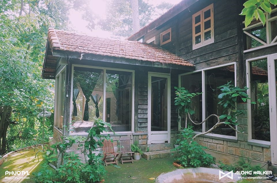 10 homestay ở Đà Lạt trong rừng với tầm nhìn tuyệt đẹp ra thiên nhiên