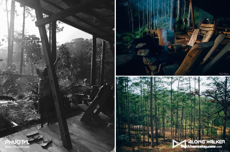 Andante Farm & Lodge - Homestay nằm ẩn mình giữa rừng thông Đà Lạt yên bình