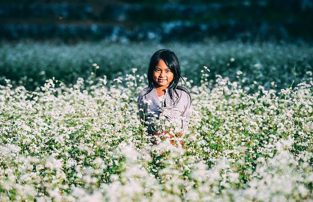 Kinh nghiệm du lịch mùa hoa tam giác mạch Hà Giang