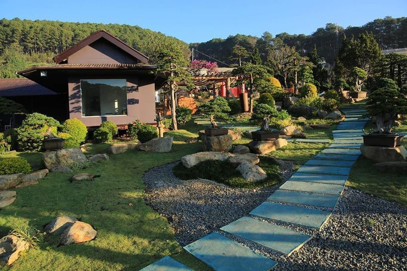 Que garden – Chill ngay khu vườn bonsai lá kim lớn nhất ở Việt Nam