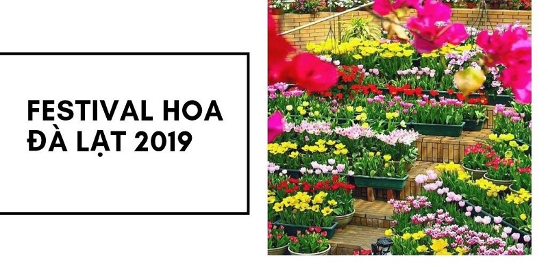 Lễ hội hoa Đà Lạt 2019 tổ chức ngày nào? Lưu ý khi đi Festival hoa Đà Lạt