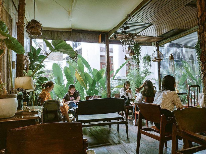 Cú Trên Cây Garden: Dân tình xốn xang quán café tổ chim ở Sài Gòn