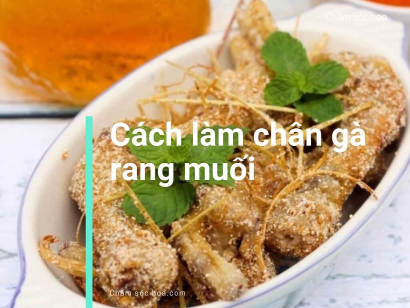 Feedy là gì? Cuốn cẩm nang tất yếu dành cho những bà nội trợ