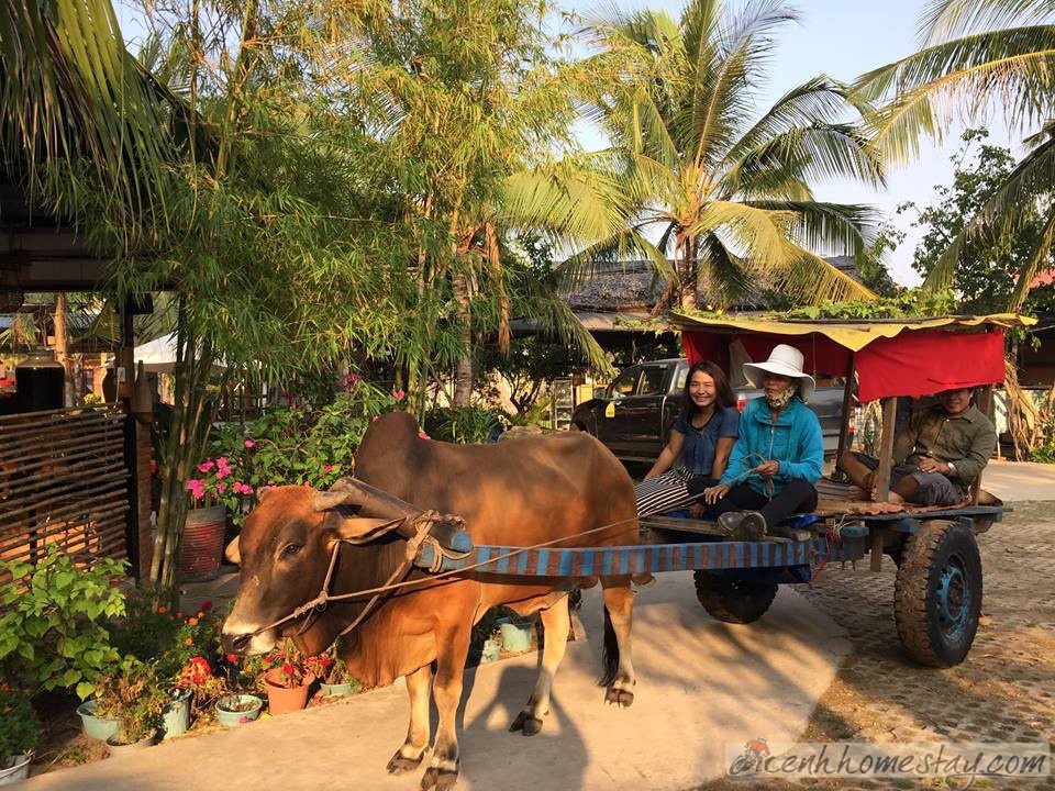 Lagi Farmstay ở Bình Thuận