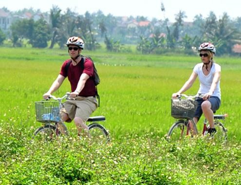 Khách du lịch được ngắm nhìn những cánh đồng lúa mênh mông băng ghế hoặc xe đạp