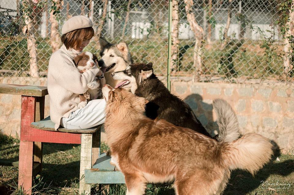 Các homestay Hà Nội cho phép mang theo thú cưng