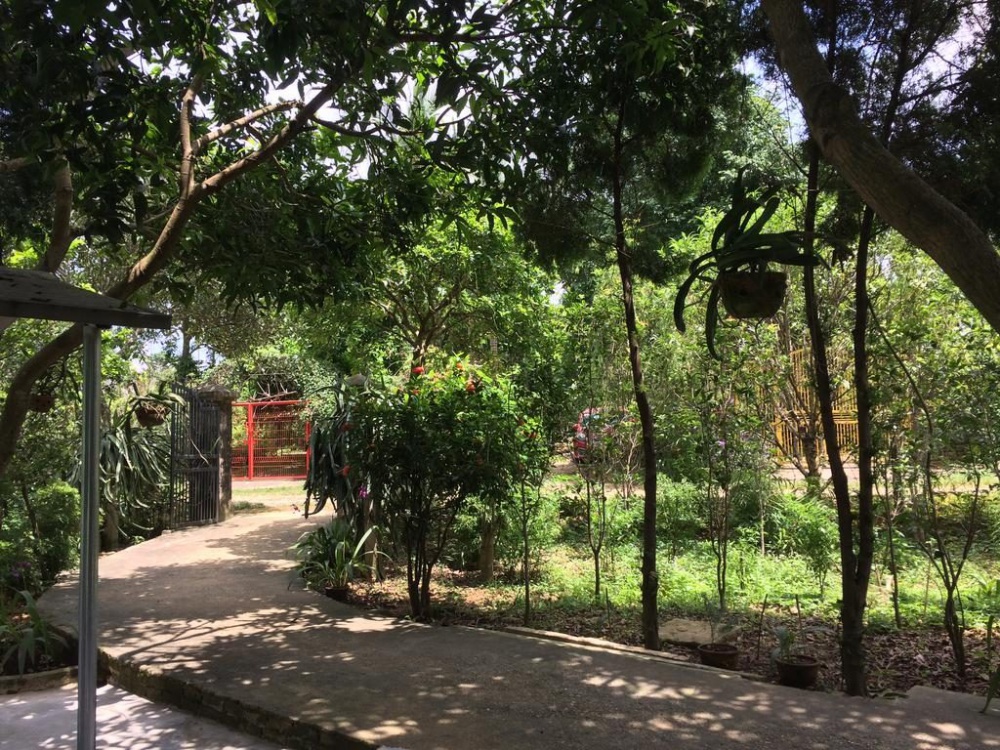 Ba Vì Thiên Sơn homestay gần Hà Nội