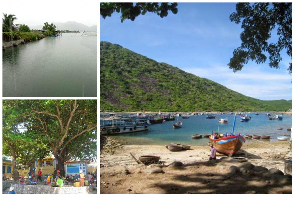 Village Hostel – Chốn thôn quê giữa lòng thành phố biển Nha Trang