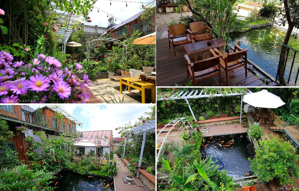 Six Six Garden – Rose Koi Homestay “CÁ KOI” xanh mát ở Đà Lạt