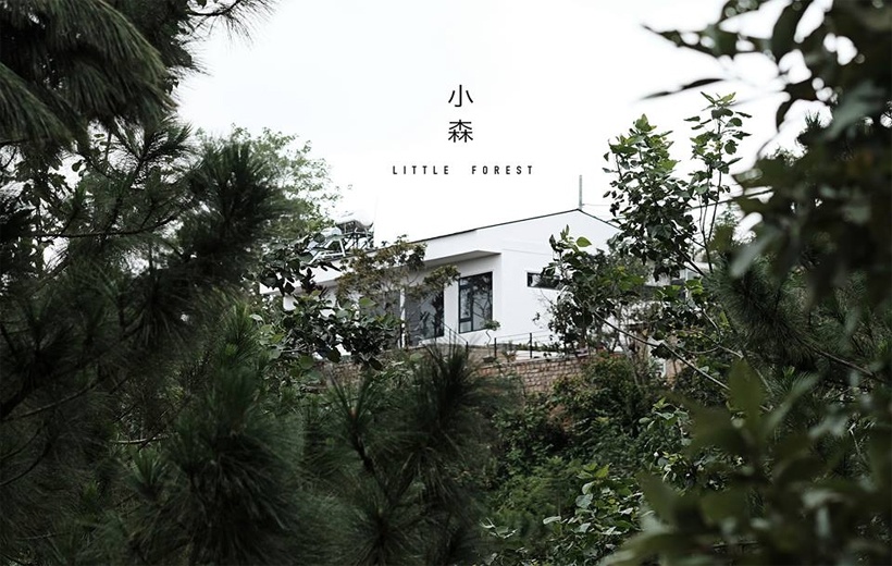 Trúng thính đậm với “Little Forest phiên bản Việt” mới cứng cựa giữa lòng Đà Lạt