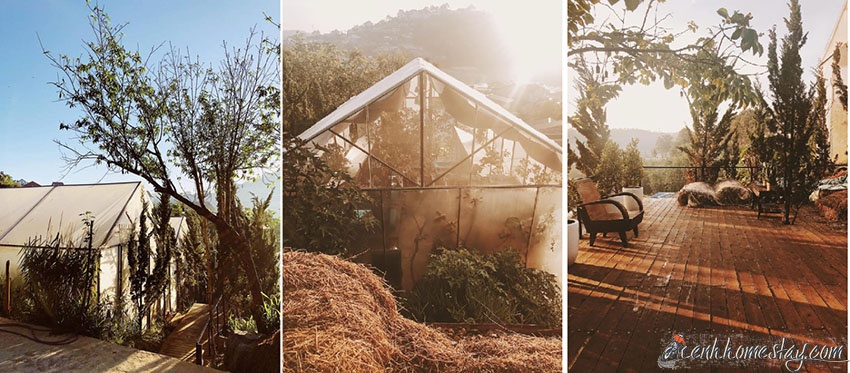 The Barn Home Farm: Homestay xanh mướt, CẢ TỶ góc sống ảo ở Đà Lạt