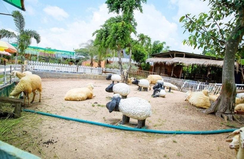Mini Farm - Nông trại của những chú cừu xinh xắn cực yêu ở Vũng Tàu