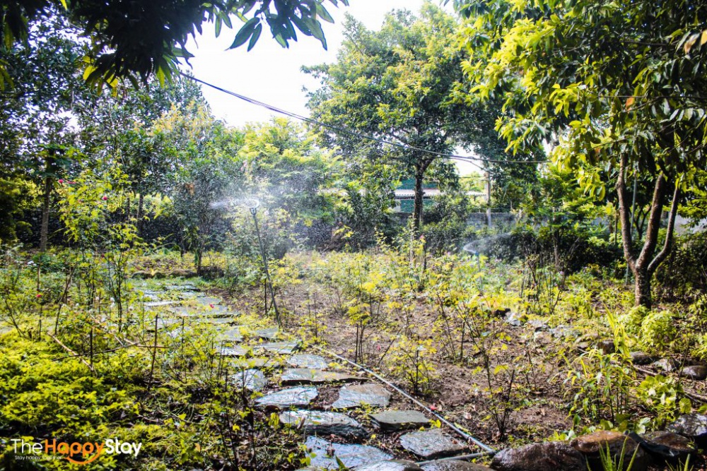 1001 Điều chưa biết về Lâm Villa – Nhà rừng Lương Sơn – Hoà Bình.
