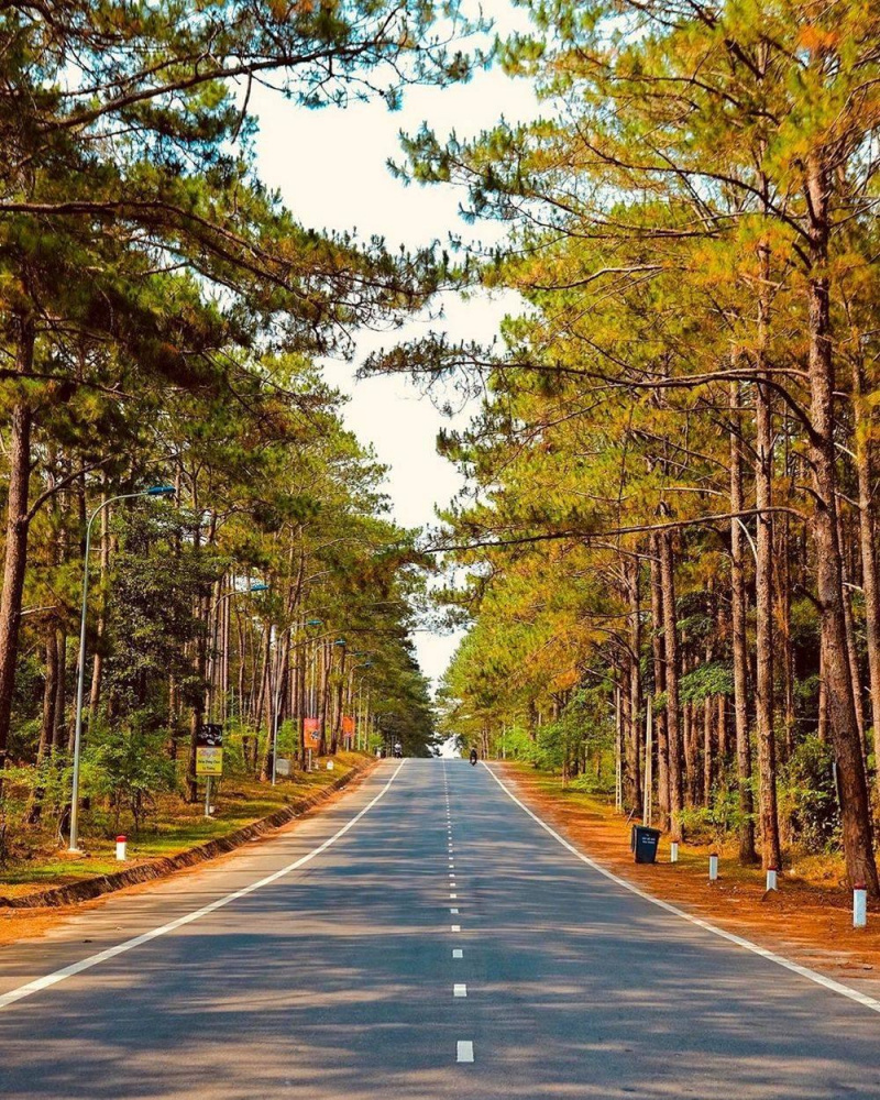 tour du lich, du lich, du lich trong nuoc, du lich viet nam, du lich thai lan, du lich campuchia