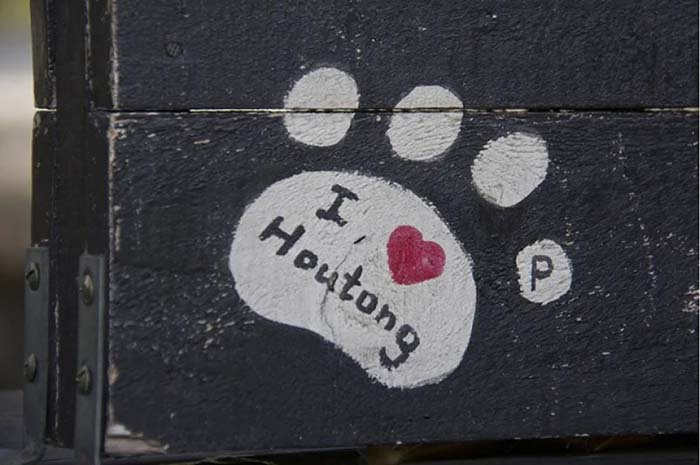 Làng mèo Houtong Đài Loan: 'Sen' không được làm 'Hoàng thượng' chói mắt
