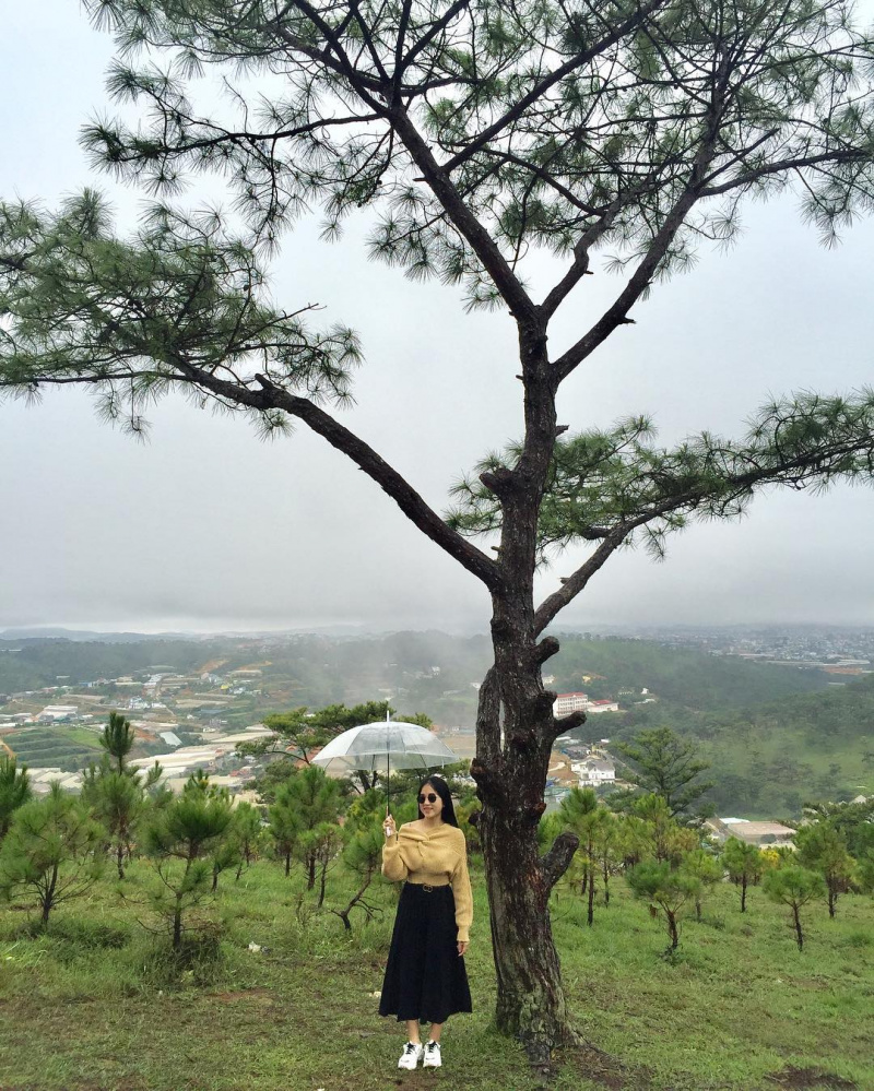 Bỏ túi ngay kinh nghiệm săn mây cực ảo trên đồi Đa Phú