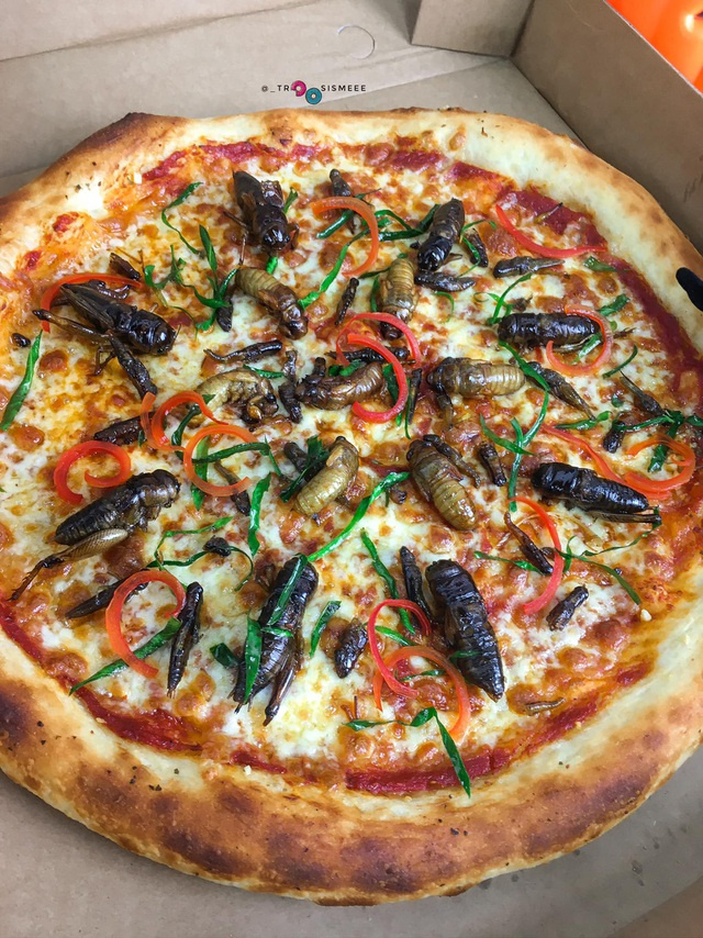 pizza côn trùng, pizza độc, món ngon Hà Nội