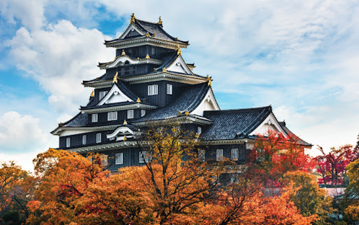 Ô giấy phát sáng họa nên vẻ đẹp khác biệt cho ‘lâu đài quạ đen’ ở Nhật Bản