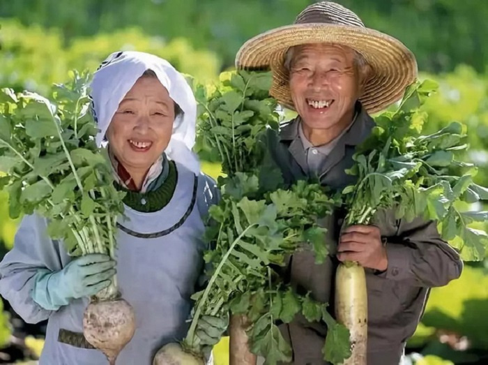 Ghé thăm ngôi làng trường thọ ở Nhật Bản được mệnh danh là 'thủ đô' của người già trên thế giới