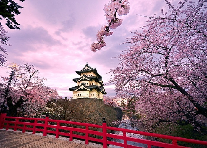 Du lịch Nhật Bản tháng mấy? Những gợi ý hoàn hảo cho chuyến du lịch của bạn