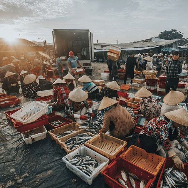 Ghé thăm chợ Bến Đá Vũng Tàu – ‘xứ sở’ của 1001 loại hải sản tươi ngon