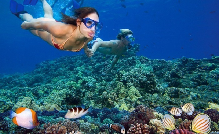 Du lịch côn đảo, trải nghiệm ở Côn Đảo, lặn ngắm san hô ở Côn Đảo, điểm du lịch nổi tiếng ở Côn Đảo, thưởng thức món đặc sản Côn Đảo, trải nghiệm ở Côn Đảo