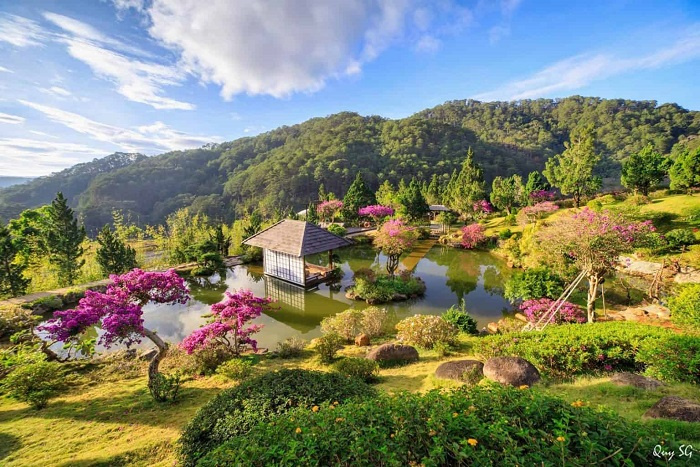 Que Garden Đà Lạt - 'Nhật Bản thu nhỏ' được dân tình khen nức nở