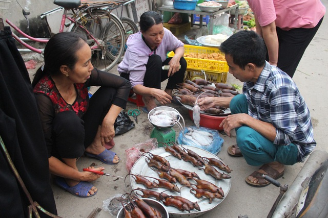 làng thích ăn thịt chuột, đặc sản thịt chuôt