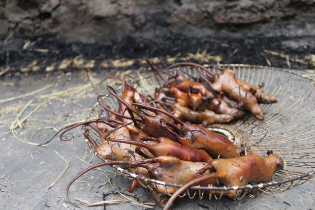 làng thích ăn thịt chuột, đặc sản thịt chuôt