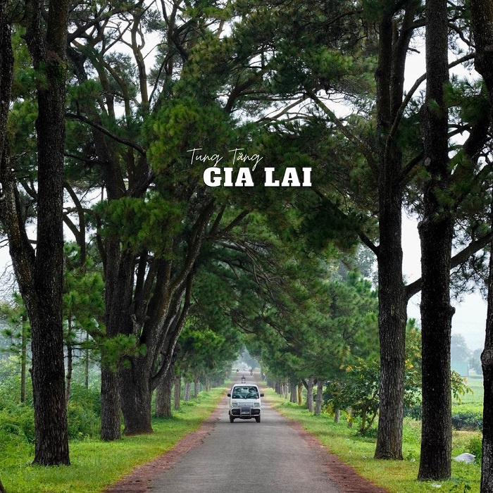 khám phá Gia Lai, du lịch Gia Lai, kinh nghiệm đi Gia Lai, điểm đến ở Gia Lai, review Gia Lai, ăn gì ở Gia Lai, review Gia Lai
