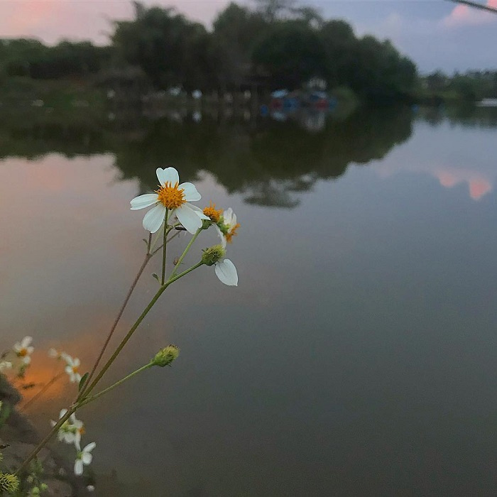 điểm đến ở Bảo Lộc, hồ Nam Phương Bảo Lộc, du lịch Bảo Lộc, thành phố Bảo Lộc, vẻ đẹp của hồ Nam Phương, hồ Nam Phương Bảo Lộc