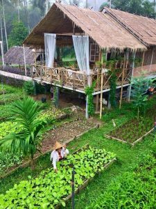“Garden House” – the most famous hotel in Thailand