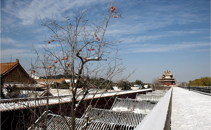 tuyết đầu mùa ở Bắc Kinh, đón tuyết ở Bắc Kinh, mùa đông Trung Quốc, tuyết đầu mùa ở Bắc Kinh