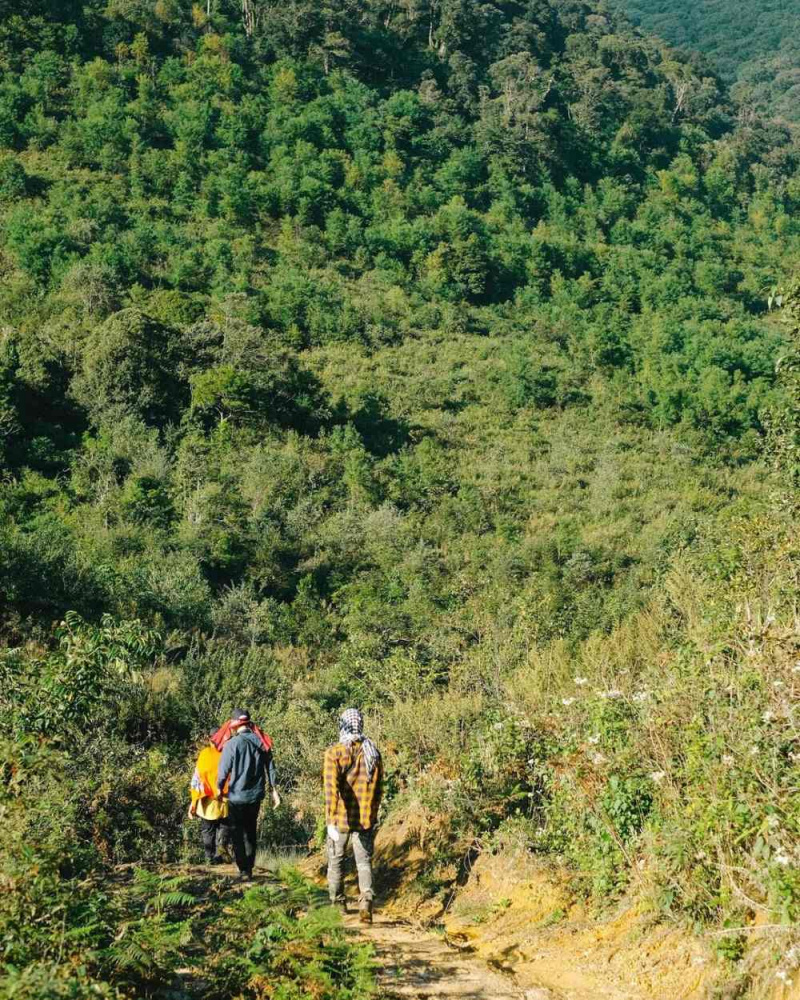 Trekking là gì? Top 5 cung đường trekking đẹp nhất Việt Nam 2020