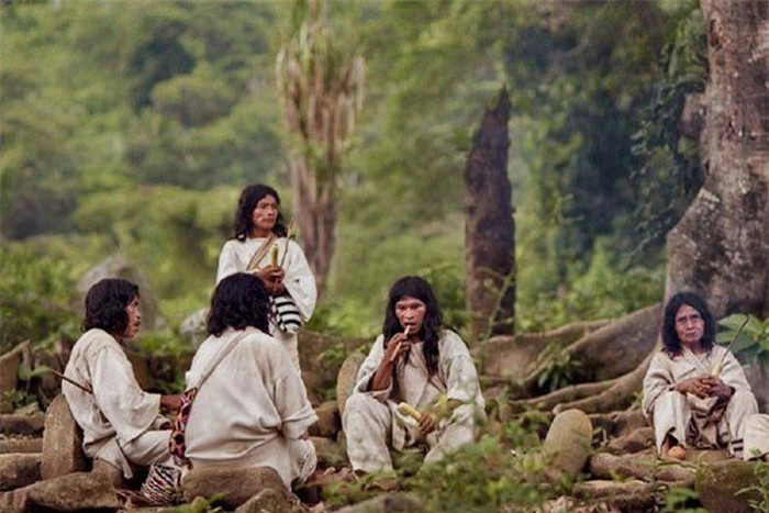 bộ lạc Kogi, du lịch Colombia, bộ tộc Kogi
