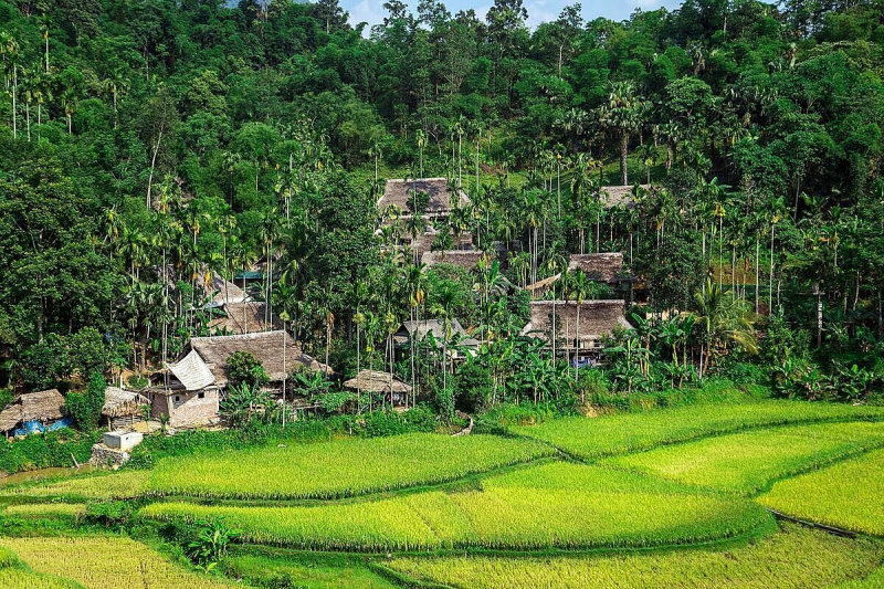 Jungle Lodge Pù Luông - “Thiên đường xanh” cách biệt phố thị ồn ào, đông đúc