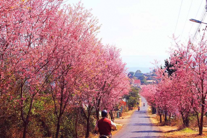 du lịch đà lạt, đà lạt, điểm dừng chân