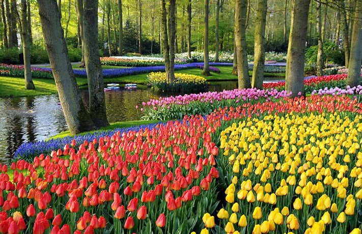 Hà Lan là đất nước xinh đẹp hàng đầu thế giới