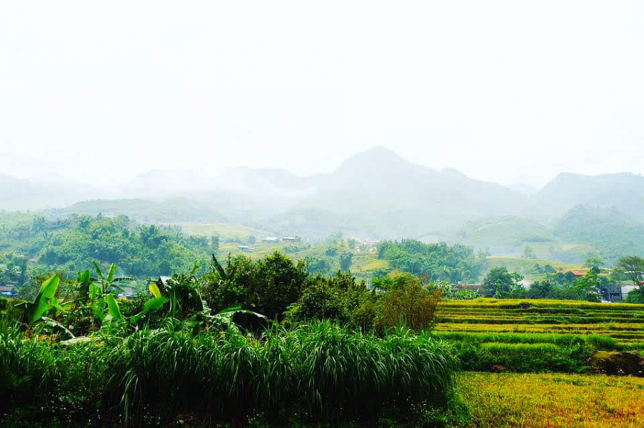 homestay sapa, sapa