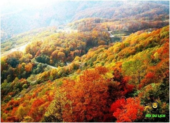 Top 5 điểm du lịch mùa thu Trung Quốc đẹp nhất